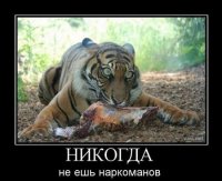 3k39-GMzOA8.jpg