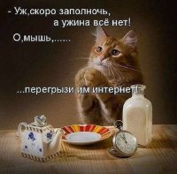 img_137624386_2020_0.jpg