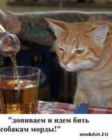 50441_0.jpg