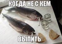 qndtK6BEDZs.jpg