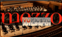 Mezzo.png