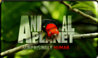 Animal Planet (2).png