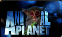Animal Planet.png