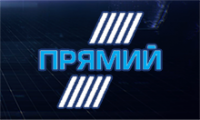 p.png