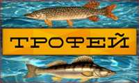 1_0_1_1E1F_2C_55_300000_0_0_0.png