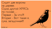 сорока.png