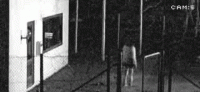 25000_900.gif