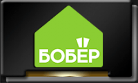 Телеканал Бобёр.png