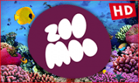1_0_19_DBD_16A8_9C_5A0000_0_0_0.png