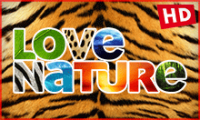 1_0_19_DBE_16A8_9C_5A0000_0_0_0.png