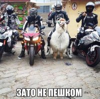 image(1).jpg