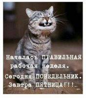 правильная рабочая неделя.jpeg