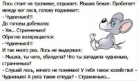 Снимок экрана от 2018-11-12 12-16-11.png