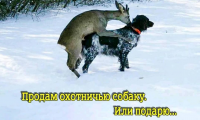 Снимок экрана от 2018-11-22 16-37-32.png