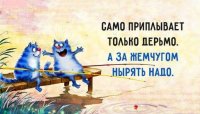 24219382_m.jpg