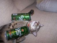 фанат футбола.jpg