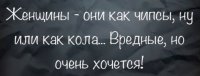 25970654_m.jpg