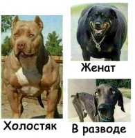 23570905.jpg