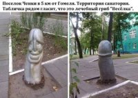29379821_m.jpg