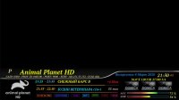 8.03.ckin.jpg