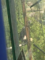 IMG_5167.jpeg