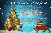 s_novim_godom_4.jpg