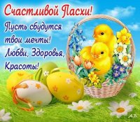 upload_2023-4-9_9-51-35.jpeg