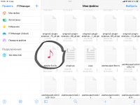 IMG_3009.jpeg