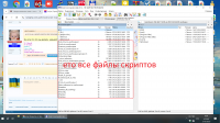 скрипты.png