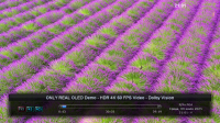 screenshot_2025-07-09_21-01-14.png