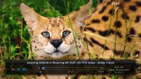 screenshot_2025-07-09_21-03-39.png