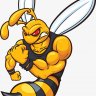 wasp20001